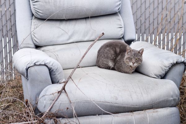 Recliner Disposal in Port Orange