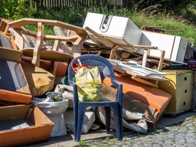 Yard Debris Collection